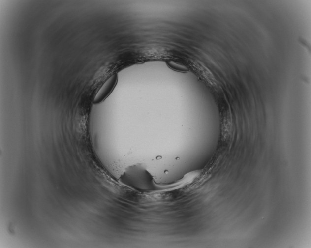 X0000096640473200802191224