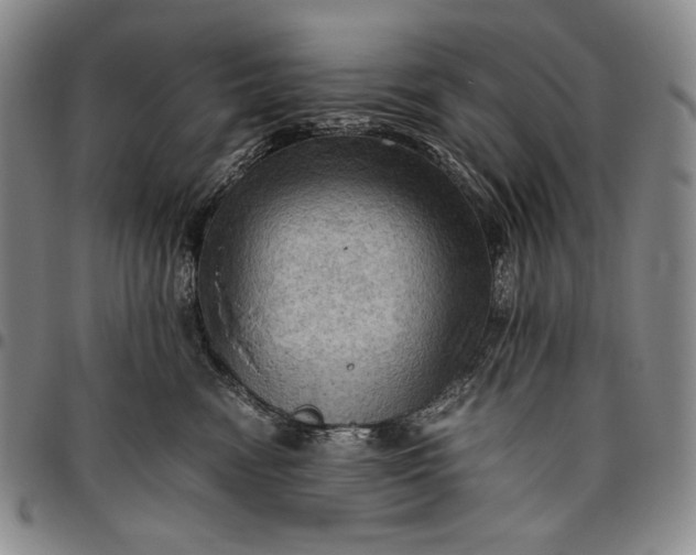 X0000096640474200802191224