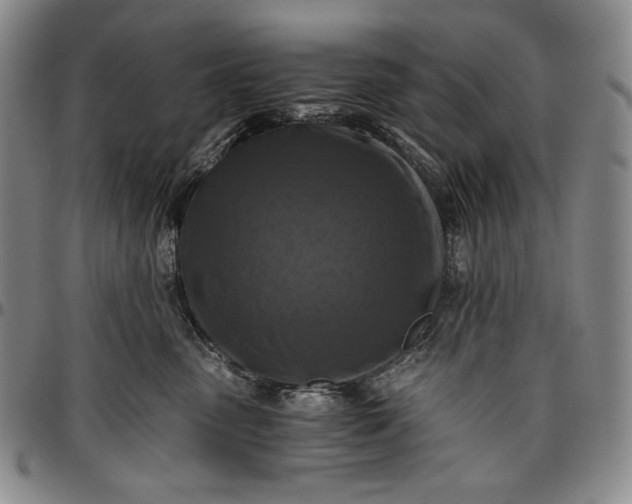 X0000096640475200802191224