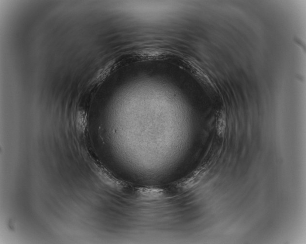 X0000096640476200802191224