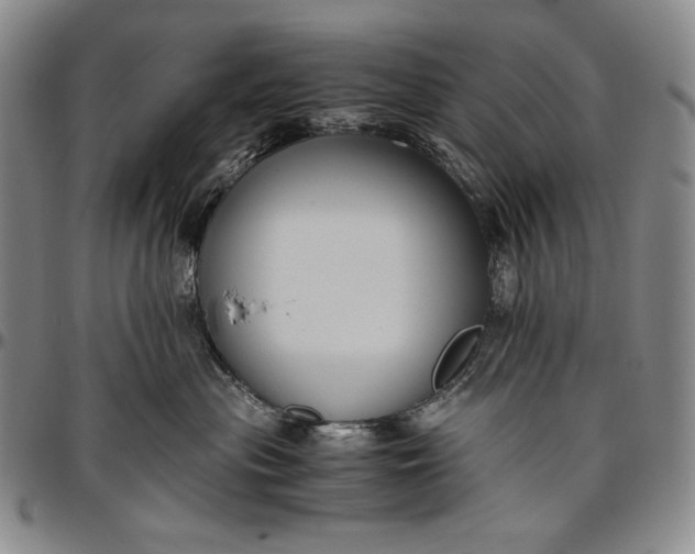 X0000096640477200802191224