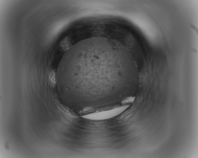 X0000096640479200802191224