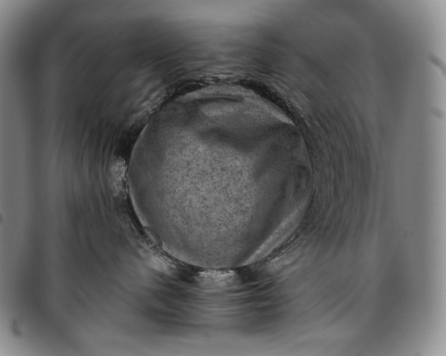 X0000096640480200802191224