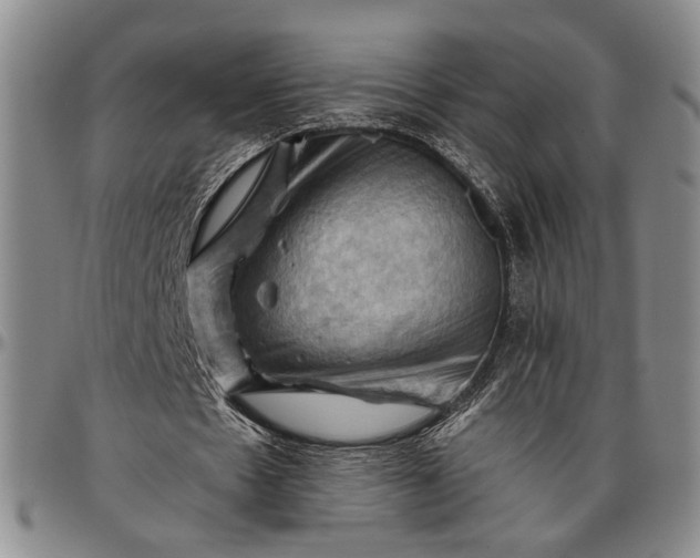 X0000096640481200802191223