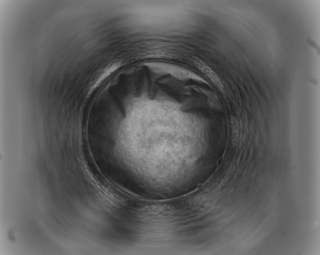 X0000096640482200802191223