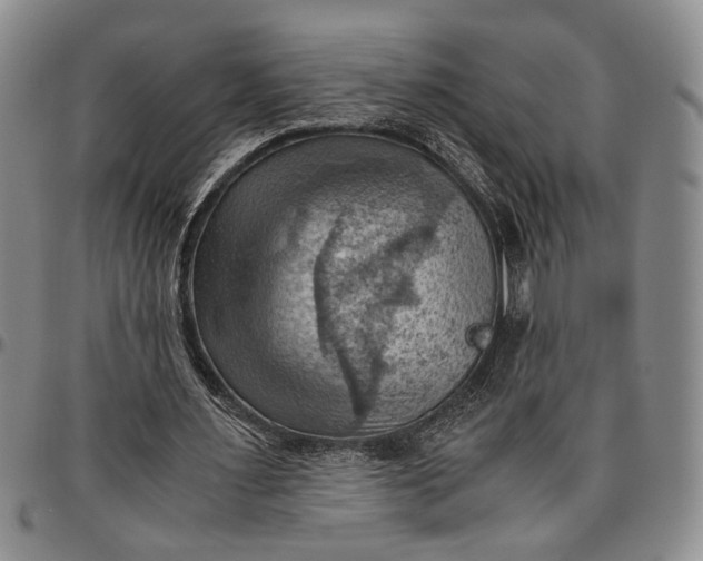 X0000096640483200802191223