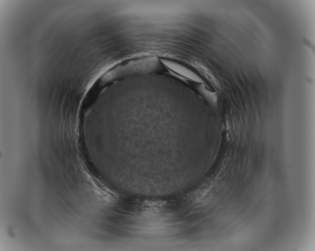 X0000096640484200802191223