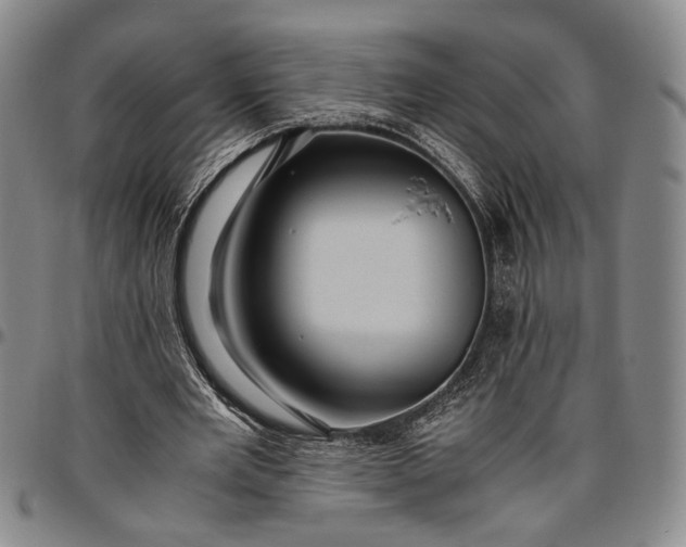 X0000096640485200802191223