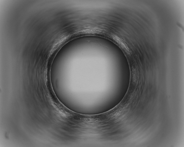 X0000096640486200802191223