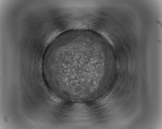 X0000096640487200802191223