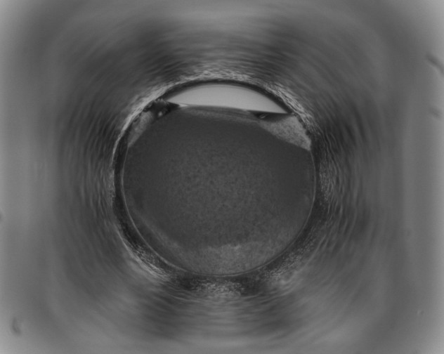 X0000096640488200802191223