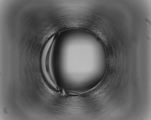 X0000096640489200802191223