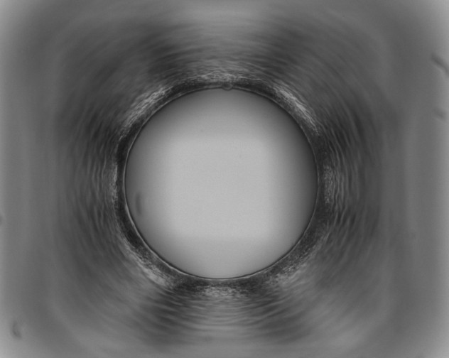 X0000096640490200802191223