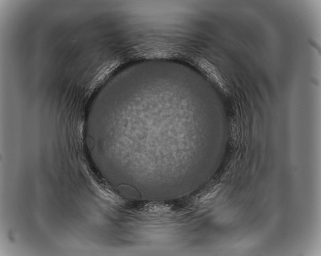 X0000096640491200802191223