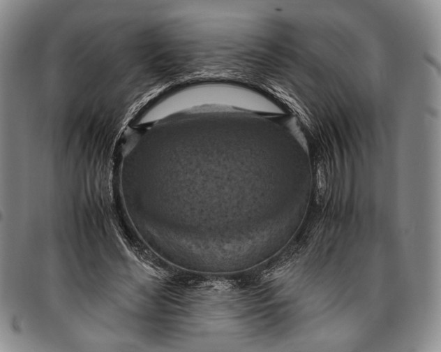 X0000096640492200802191223