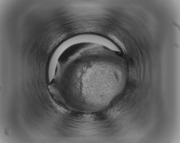 X0000096640493200802191223