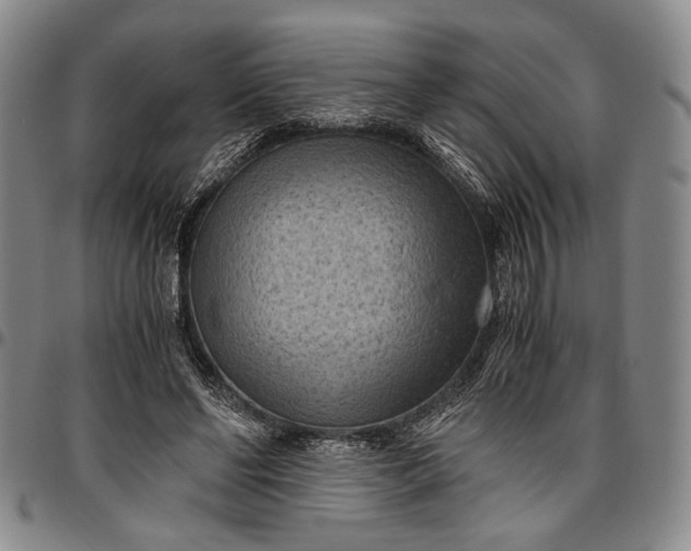 X0000096640494200802191223