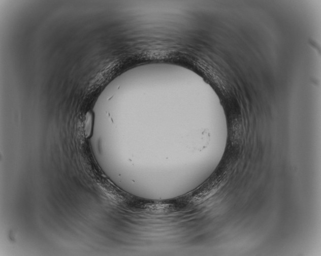 X0000096640497200802191223