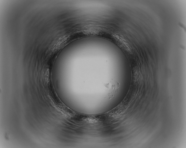 X0000096640498200802191223