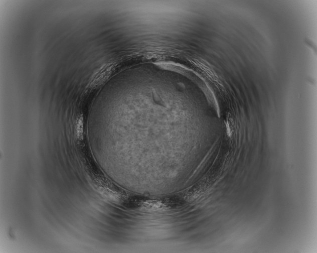 X0000096640502200802191223