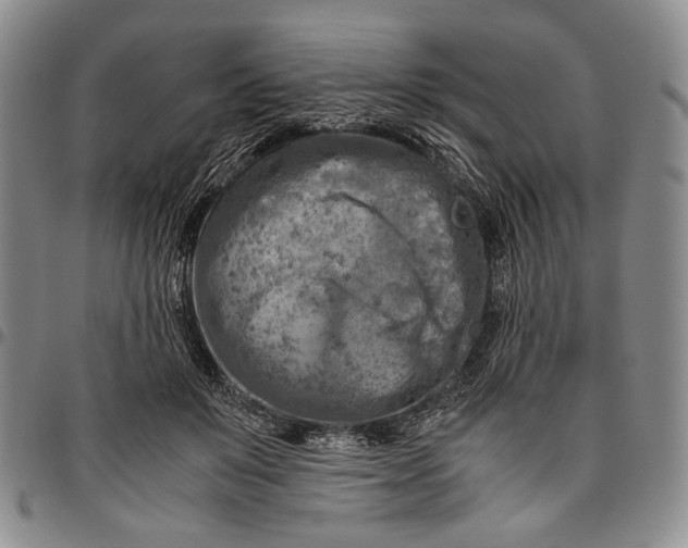 X0000096640503200802191223