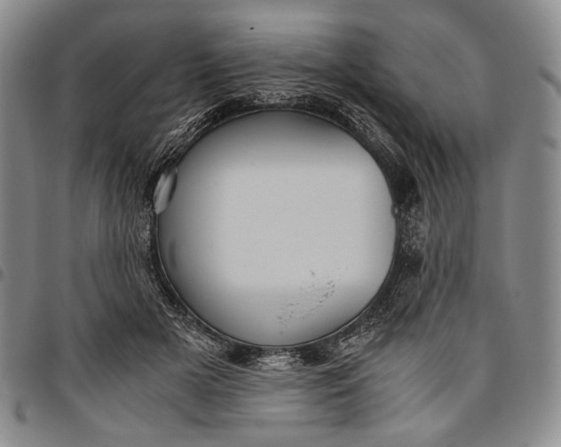 X0000096640505200802191223