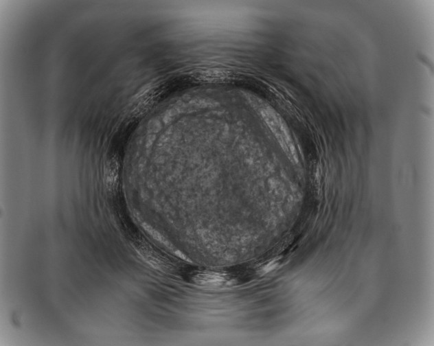 X0000096640507200802191223