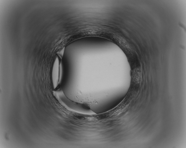 X0000096640509200802191223