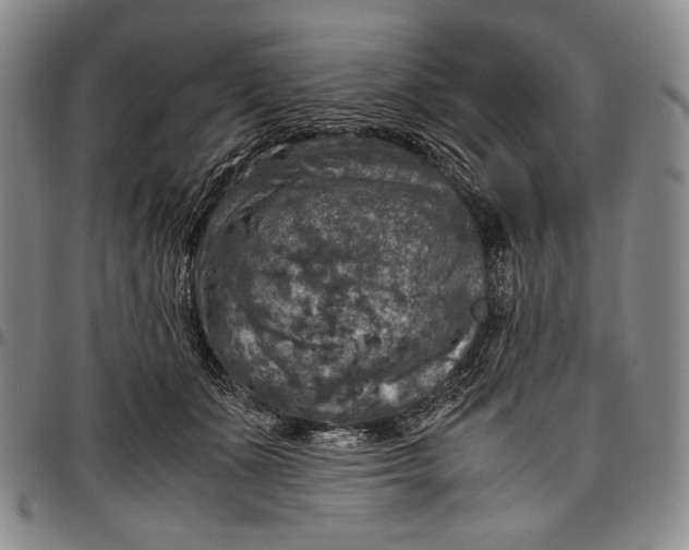 X0000096640511200802191223