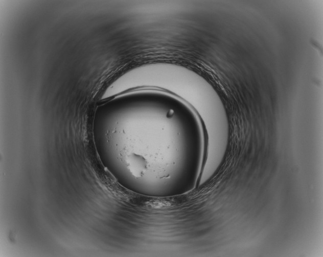 X0000096640512200802191223