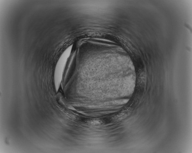 X0000096640513200802191223