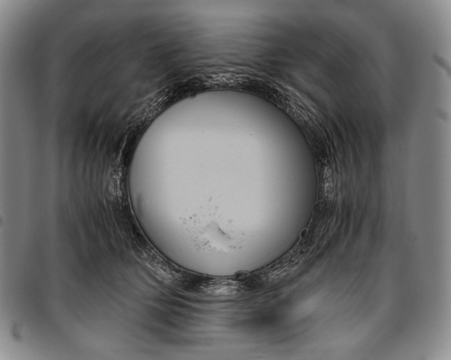 X0000096640514200802191223