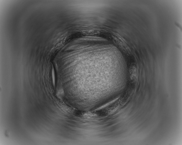 X0000096640515200802191223