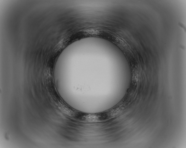 X0000096640518200802191223