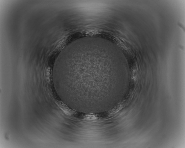 X0000096640519200802191223