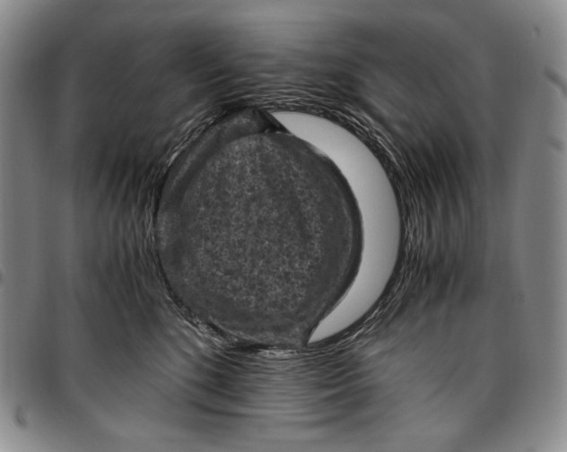 X0000096640520200802191223