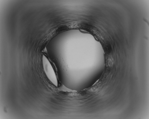 X0000096640521200802191223