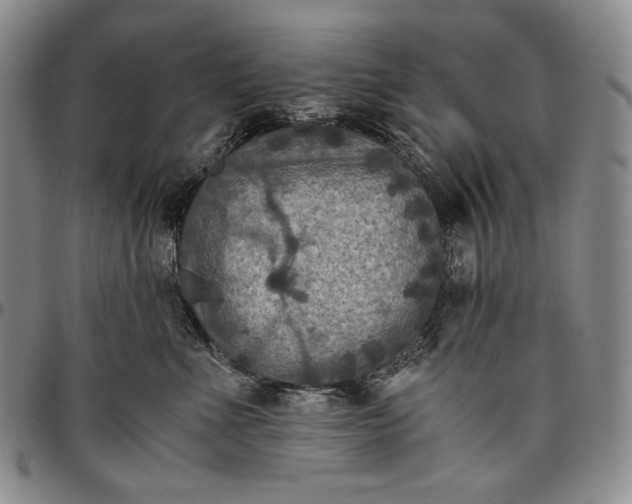 X0000096640523200802191223