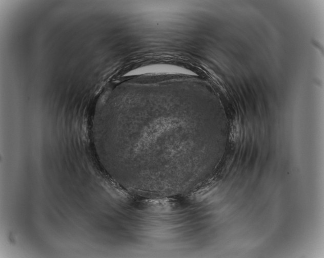 X0000096640524200802191223