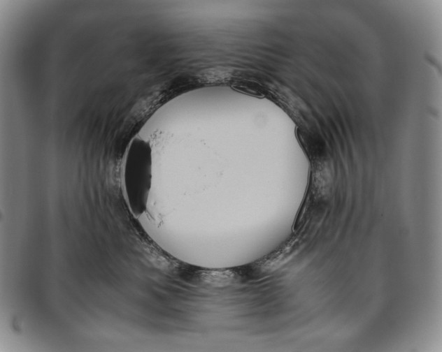 X0000096640525200802191223