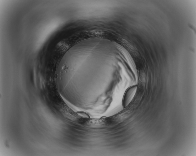 X0000096640526200802191223