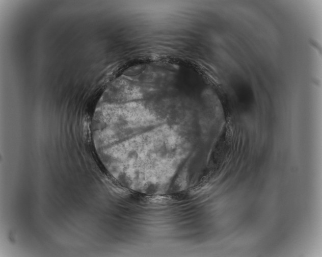 X0000096640527200802191223