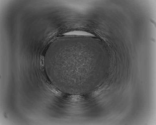 X0000096640528200802191223