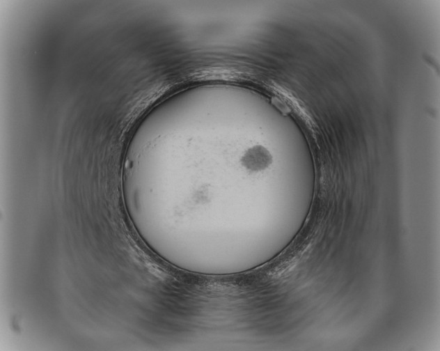 X0000096640529200802191222