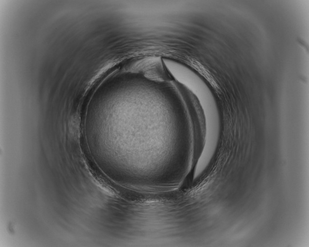 X0000096640530200802191222