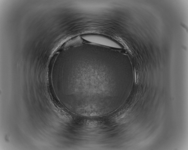 X0000096640531200802191222