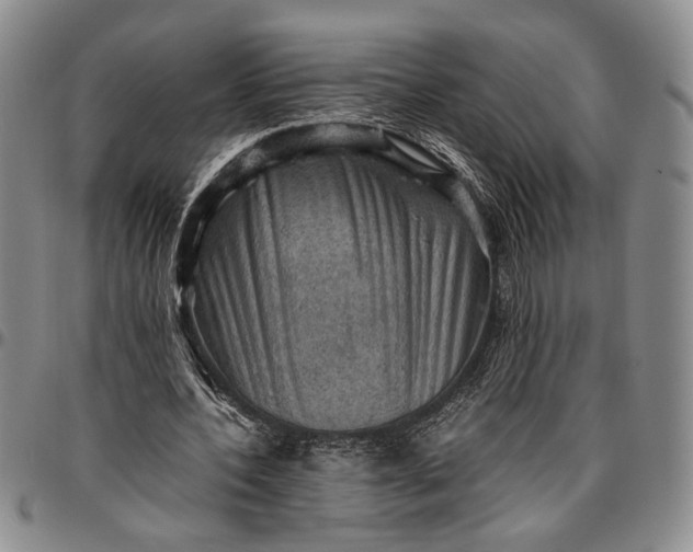 X0000096640532200802191222