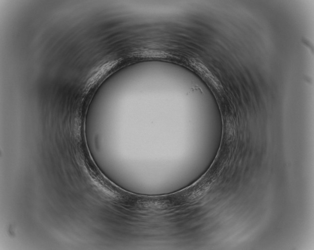 X0000096640533200802191222