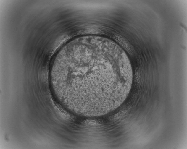 X0000096640534200802191222