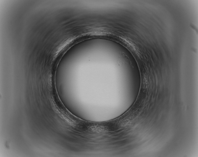 X0000096640535200802191222